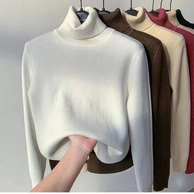 Turtleneck Sweater (lined)